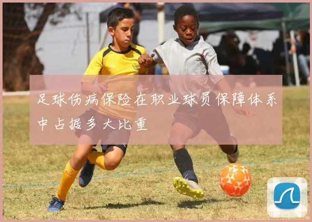 足球伤病保险在职业球员保障体系中占据多大比重