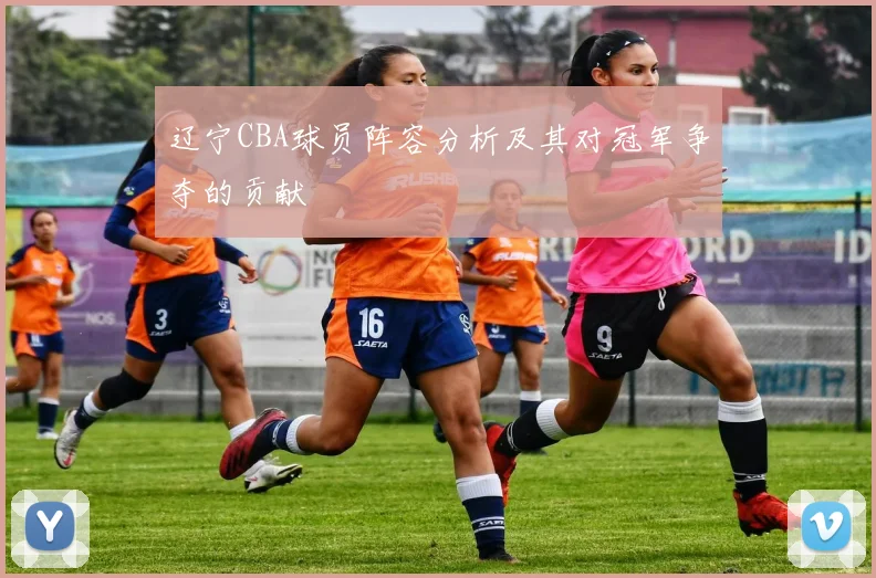 辽宁CBA球员阵容分析及其对冠军争夺的贡献