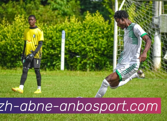 App Interface Preview